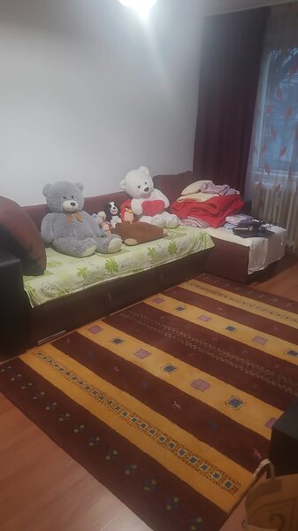 Colentina Teiul Doamnei